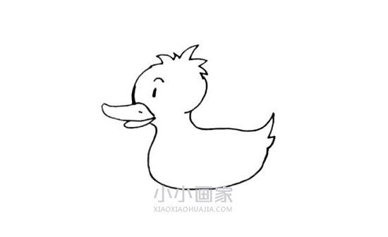 水中的黄色鸭子简笔画画法图片步骤步骤5