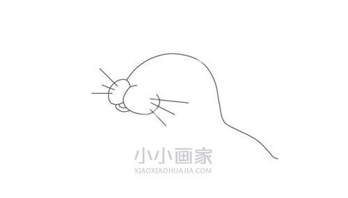 表演杂技海豹简笔画画法图片步骤步骤3