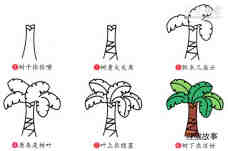 绘本故事彩色芭蕉树简笔画画法图片步骤