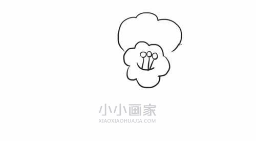 黑白山茶花简笔画画法图片步骤步骤4
