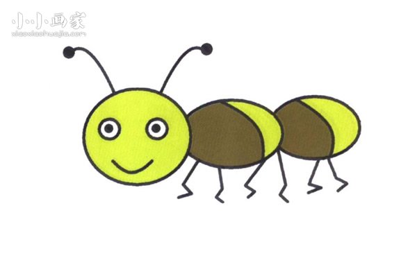 蚂蚁简笔画画法图片步骤步骤1