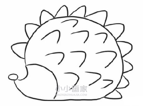 胖乎乎小刺猬简笔画画法图片步骤步骤4