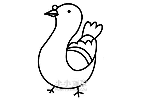 简单鸽子简笔画画法图片步骤步骤1