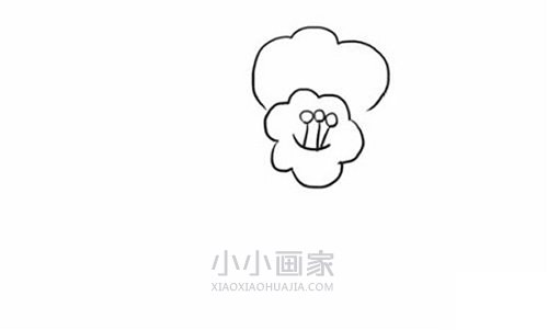 简单山茶花简笔画画法图片步骤步骤4