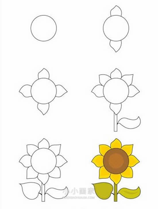 彩色太阳花简笔画画法图片步骤步骤1
