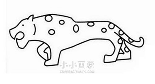 笑着的豹子简笔画画法图片步骤步骤5