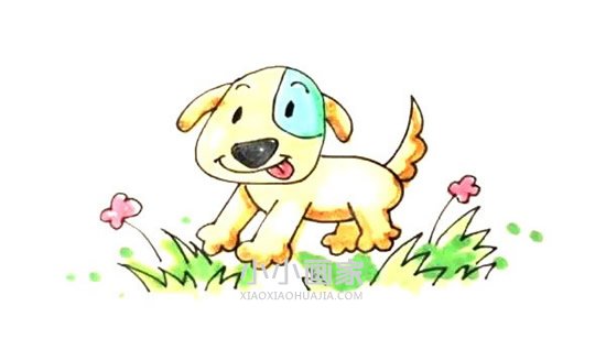 绘本故事草丛中的小狗简笔画画法图片步骤