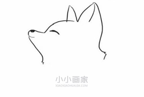 惬意的狐狸简笔画画法图片步骤步骤2