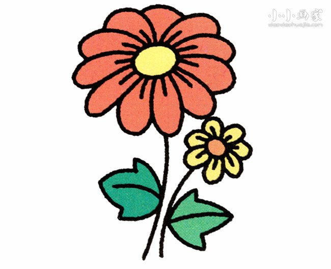 彩色菊花简笔画画法图片步骤步骤1