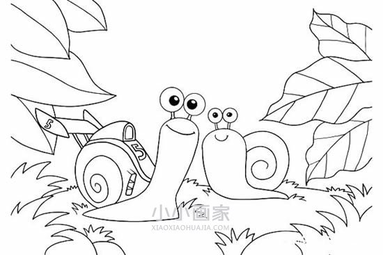 极速蜗牛特博简笔画画法图片步骤步骤9