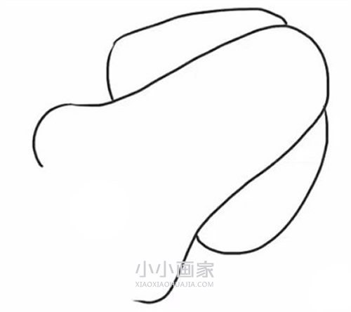 可爱乌贼简笔画画法图片步骤步骤2