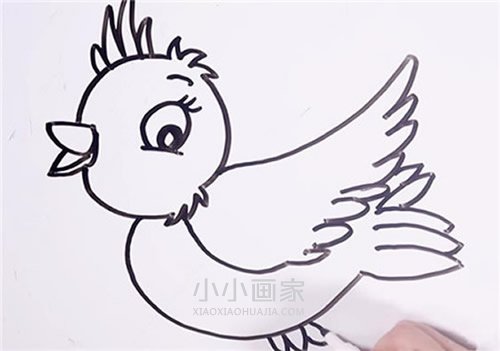 可爱小鸟简笔画画法图片步骤步骤1