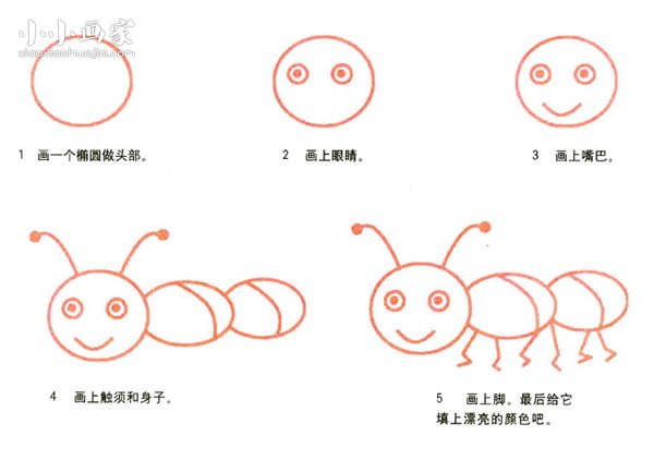 绘本故事蚂蚁简笔画画法图片步骤