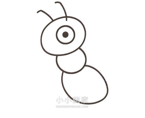 彩色小蚂蚁简笔画画法图片步骤步骤5