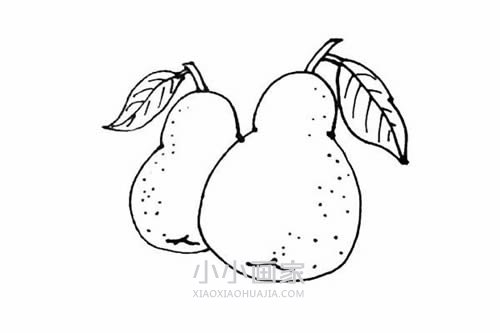 彩色梨子简笔画画法图片步骤步骤7