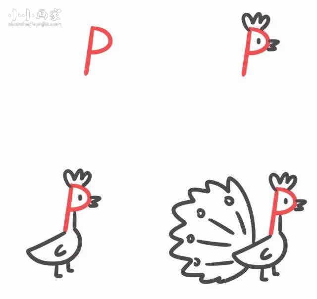 绘本故事字母P简笔画孔雀开屏的画法图片步骤