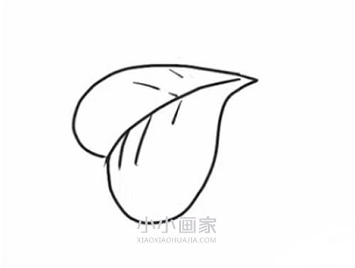 简单四叶草简笔画画法图片步骤步骤4