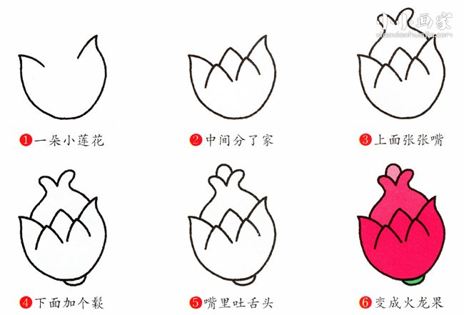 绘本故事火龙果简笔画画法图片步骤