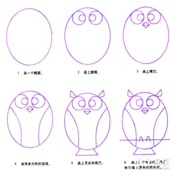 绘本故事猫头鹰简笔画画法图片步骤