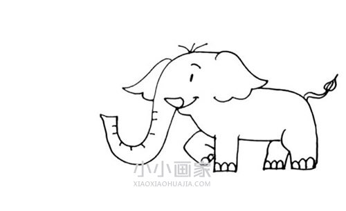 玩水的大象简笔画画法图片步骤步骤7