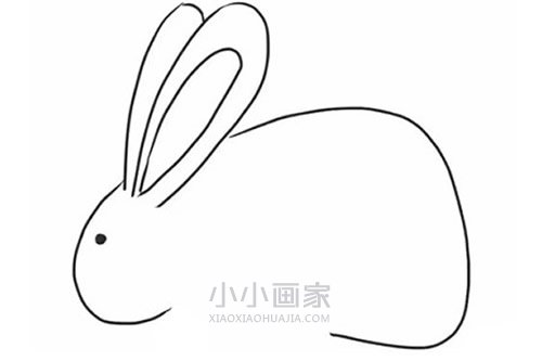 黑白兔子简笔画画法图片步骤步骤5