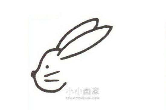 粉红小兔简笔画画法图片步骤步骤3