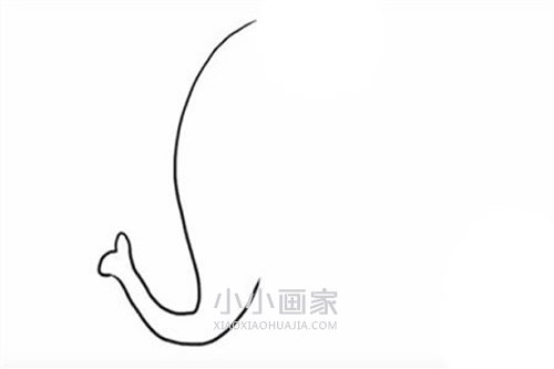 可爱卡通大象简笔画画法图片步骤步骤2