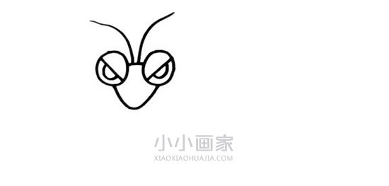 霸气螳螂简笔画画法图片步骤步骤2