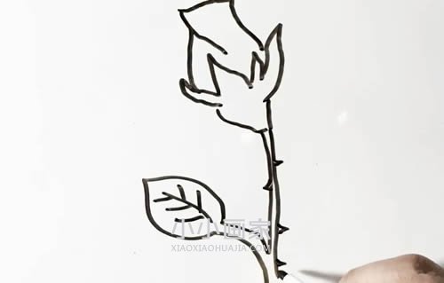 简单玫瑰花简笔画画法图片步骤步骤5