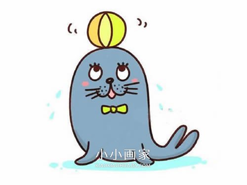 绘本故事表演杂技的海豹简笔画画法图片步骤