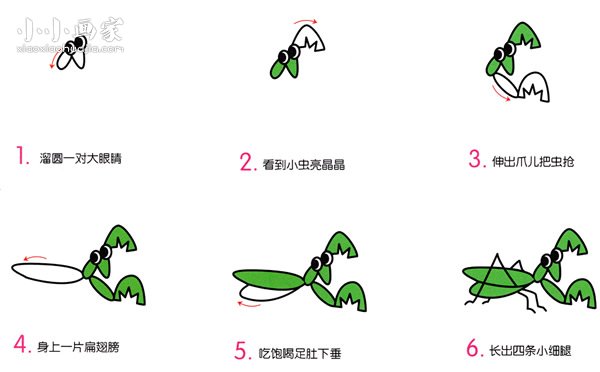 绘本故事可爱小螳螂简笔画画法图片步骤