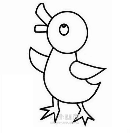 游泳的小鸭子简笔画画法图片步骤步骤5