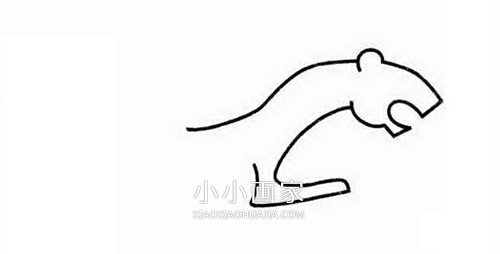 笑着的豹子简笔画画法图片步骤步骤2
