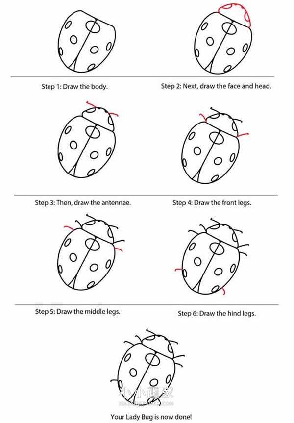 绘本故事七星瓢虫简笔画画法图片步骤