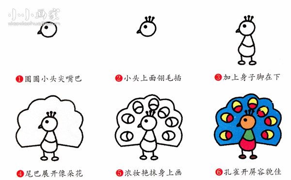 彩色小孔雀简笔画画法图片步骤
