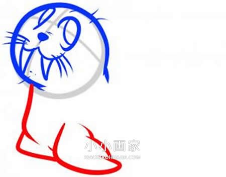 可爱小海象简笔画画法图片步骤步骤6