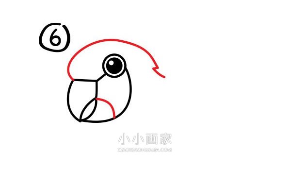 飞起的鹦鹉简笔画画法图片步骤步骤7