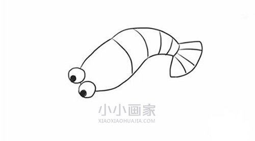 简单龙虾简笔画画法图片步骤步骤5