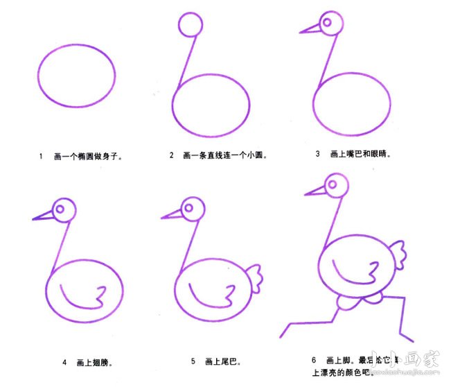 绘本故事奔跑的鸵鸟简笔画画法图片步骤