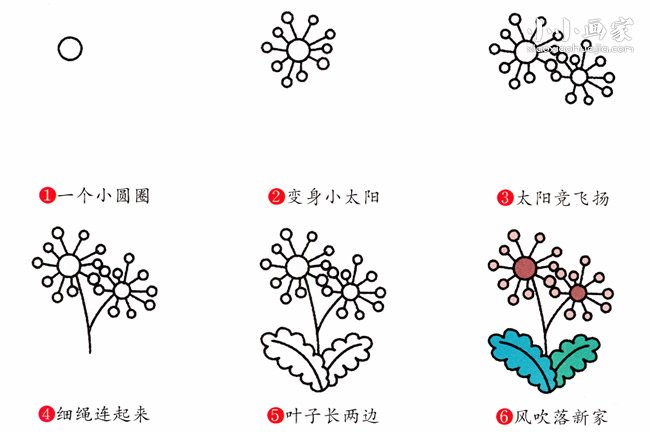 绘本故事彩色蒲公英简笔画画法图片步骤
