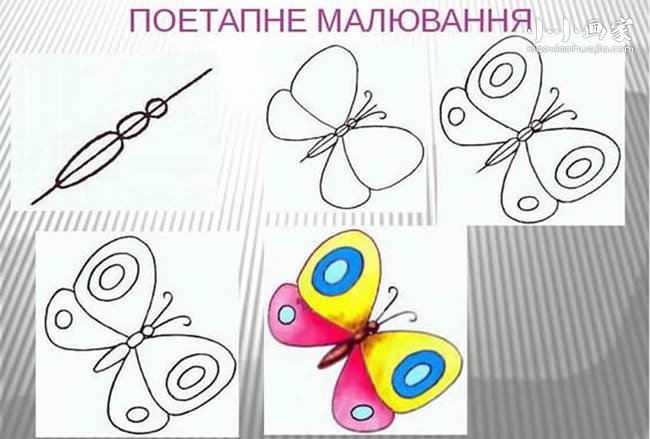 绘本故事彩色的蝴蝶简笔画画法图片步骤