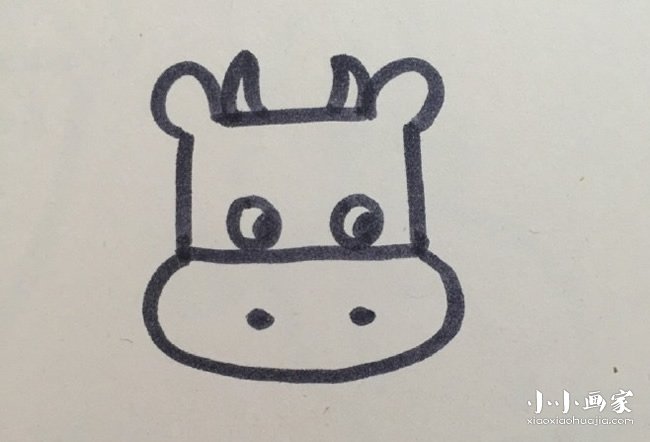 卡通小奶牛简笔画画法图片步骤步骤4