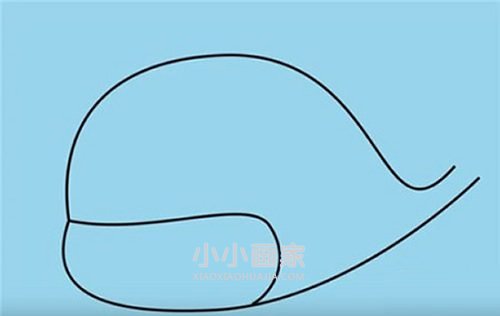 搞笑卡通鲸鱼简笔画画法图片步骤步骤3