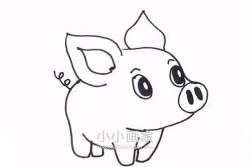 绘本故事可爱卡通小猪简笔画画法图片步骤