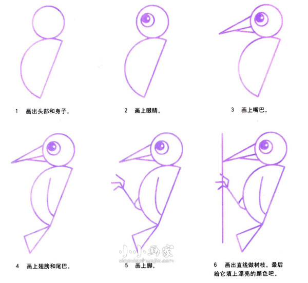 找虫吃的啄木鸟简笔画画法图片步骤步骤2