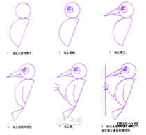 找虫吃的啄木鸟简笔画画法图片步骤
