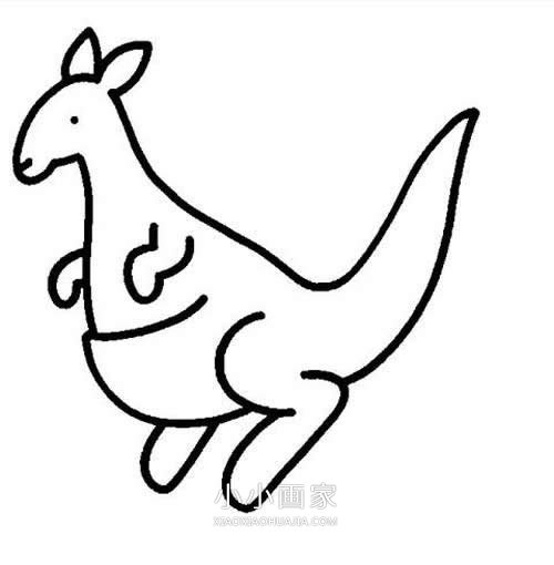 绘本故事袋鼠妈妈和宝贝的简笔画画法图片步骤
