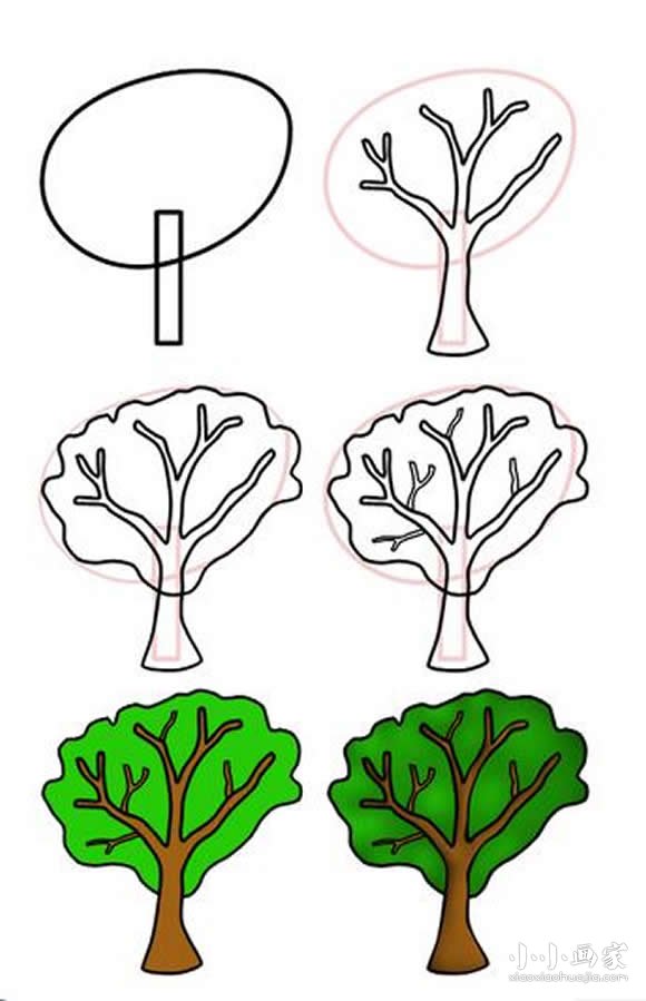 绘本故事绿油油的树木简笔画画法图片步骤