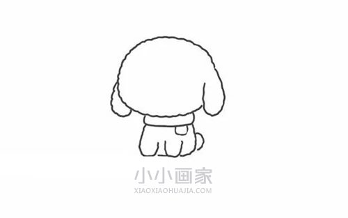 彩色小泰迪简笔画画法图片步骤步骤4