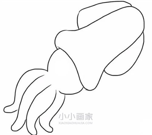 可爱乌贼简笔画画法图片步骤步骤5